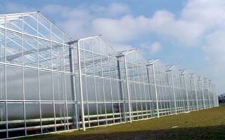 greenhouses